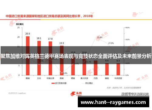 聚焦加维对阵英格兰德甲赛场表现与竞技状态全面评估及未来前景分析